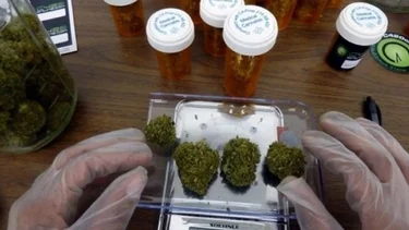 ¿El cannabis puede prevenir el coronavirus? 